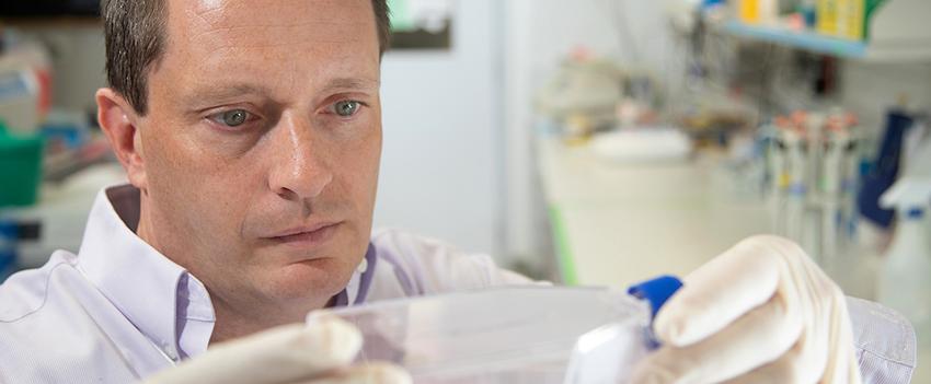 Glen Borchert, Ph.D., in the lab collecting data.
