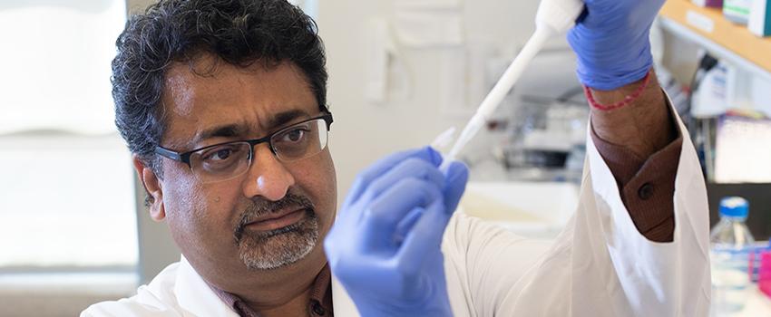 Ajay Singh, Ph.D., is investigating a potential tool for pancreatic cancer diagnosis.